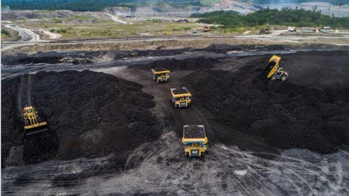 Read more about the article Ideally, the quota for coal transportation in Jambi is no more than 9,000 vehicles