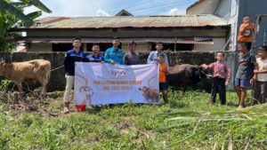 PT. Banjarsari Pribumi Salurkan Hewan Qurban ke Masyarakat Sekitar