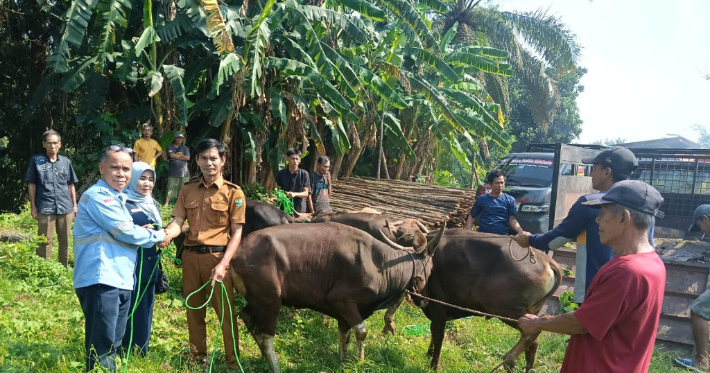 Read more about the article Bara Anugrah Sejahtera Dorong Pemberdayaan Masyarakat Lewat Program Ternak Sapi